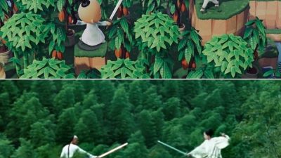 A small area devoted to my favourite scene from Crouching Tiger, Hidden Dragon. …
