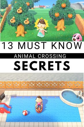 ACNH Codes 13 Tips for Animal Crossing New Horizons For
