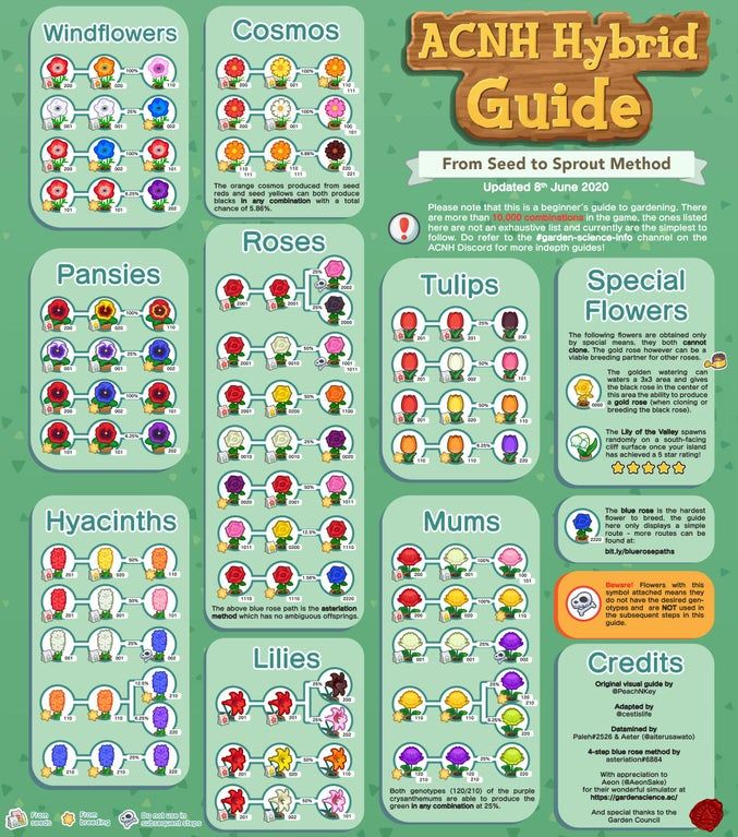 ACNH Codes Updated flower breeding guide by emmygilly13