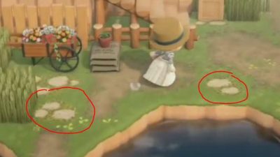 Animal Crossing: Anyone know what the code is for these rocks?