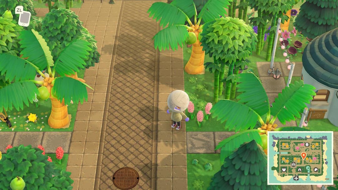 Animal Crossing Can anyone help me find these paths