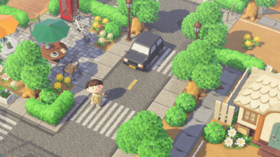Animal Crossing: Does anyone have the street and sidewalk code?