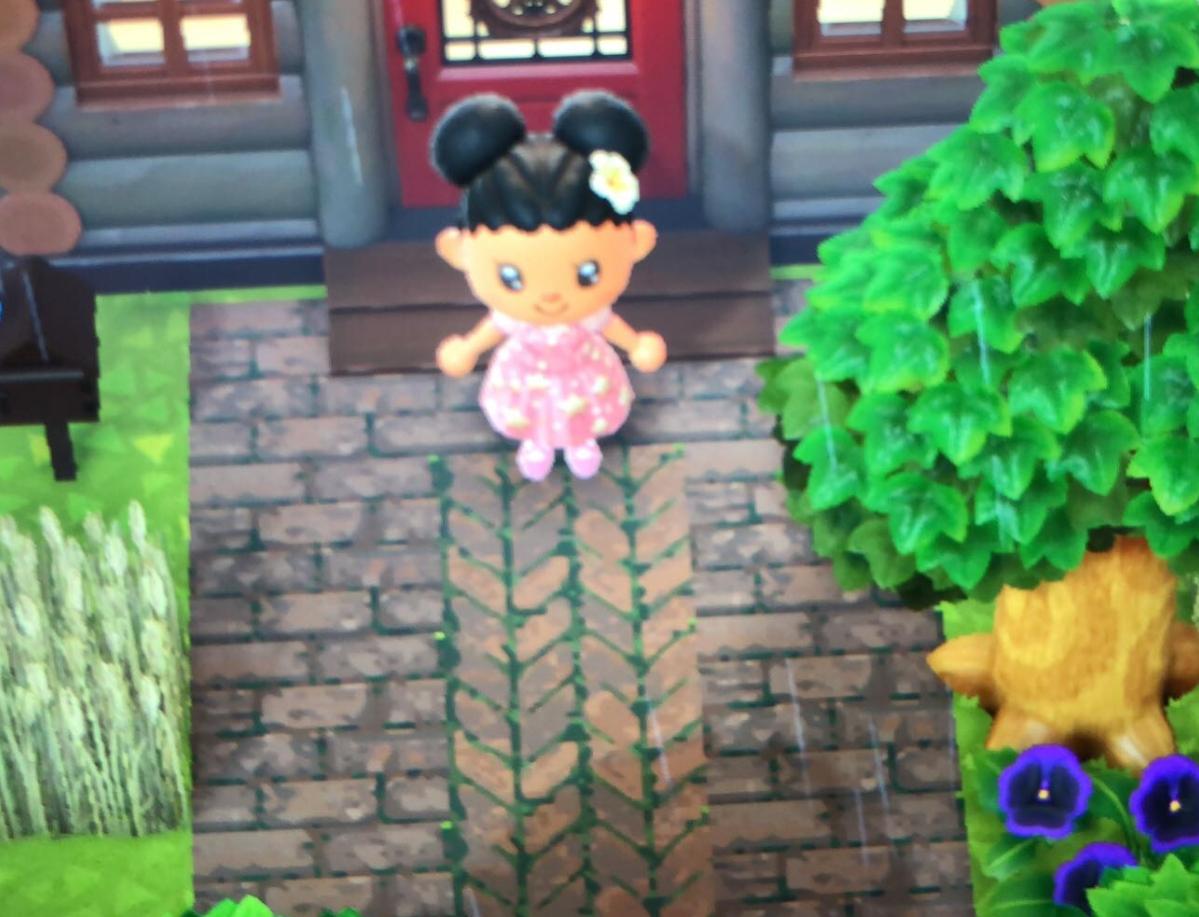 Animal Crossing Help does a yone know this path code