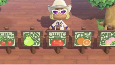Animal Crossing: How do you make the wooden signs like this put to custom designs on???