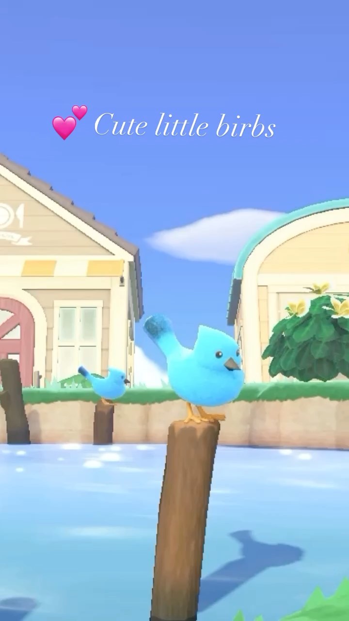 Love the little birds in Happy Home Paradise Just waggling