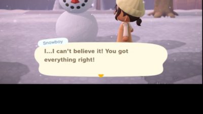 ACNH Codes How to make a perfect snow boy:) by  aubreykat13