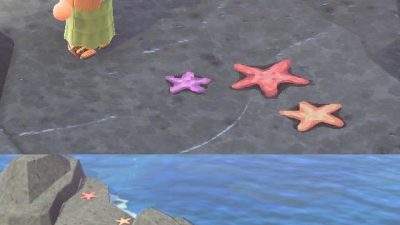 ACNH Codes I made some starfish for my rocks! by  lirael423