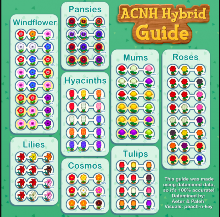 ACNH Codes  by  nmtefindt