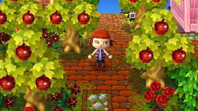 ACNL Paths growlithe-crossing:

With the changing of the seasons I found…
