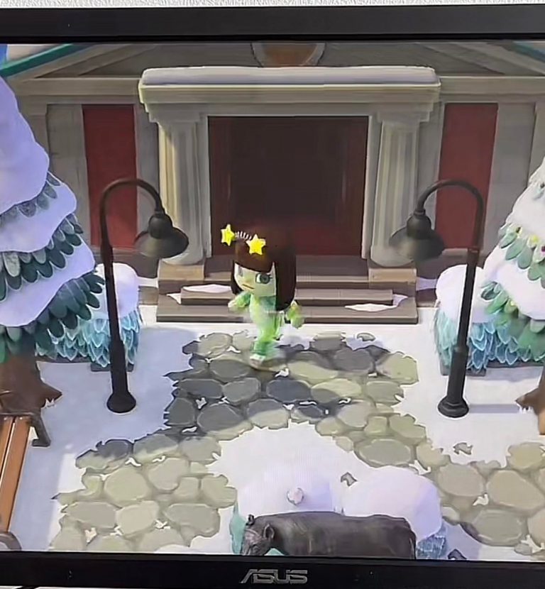 Animal Crossing: Anyone have this stone path design code?