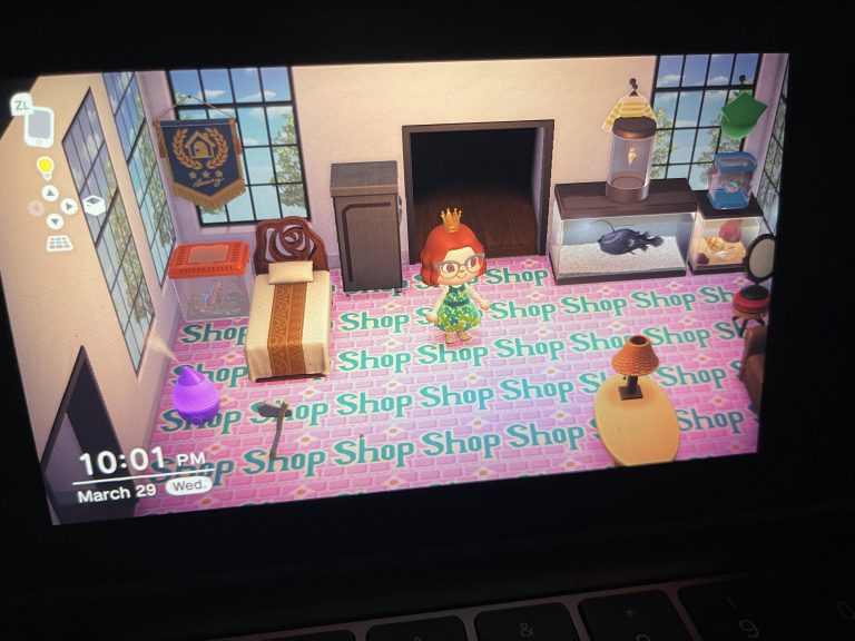 Animal Crossing: Anyone know how to get customs designs to stop changing my tiles? It’s even done it outside as well
