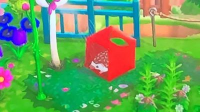 Animal Crossing: Anyone know where I can find the hedgehog design on the umbrella and grass path flooring or something simular?