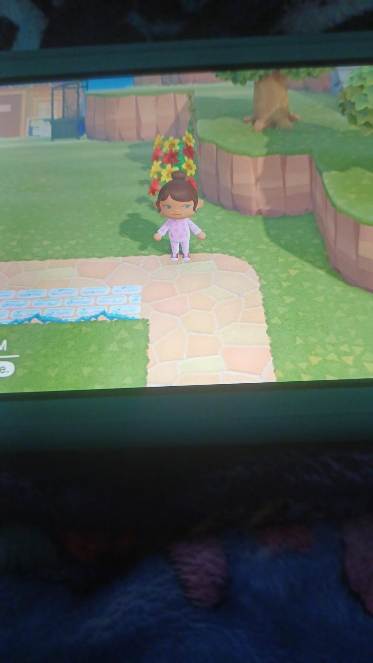 Animal Crossing: Can anyone recommend fairy/galaxy paths with the inside corners? Having trouble with Able’s portal.