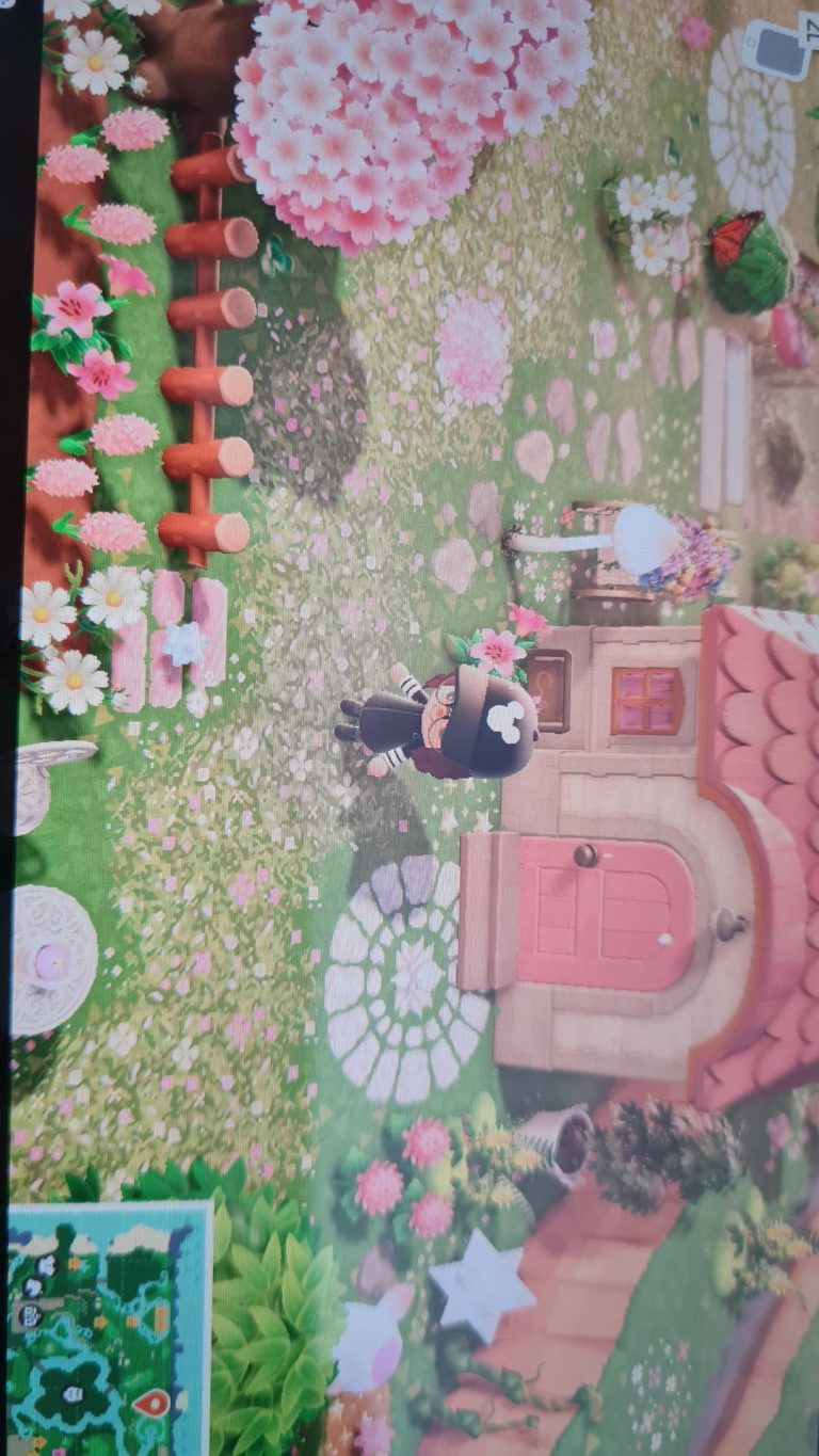 Animal Crossing: Code for these 2 paths?! ?