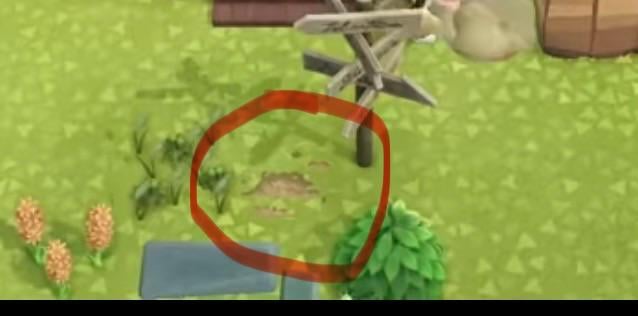 Animal Crossing: Hi! I’m looking for the code for the dirt patch circled in the pic. Thank you!!!