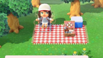 Animal Crossing: I have made this carpet for a little pic-nic !